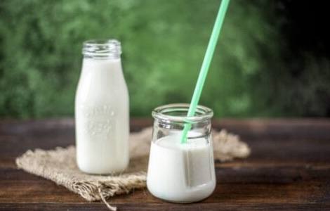 Un producto lácteo que fortalece el sistema inmunitario